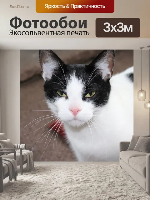 Фотообои Милый