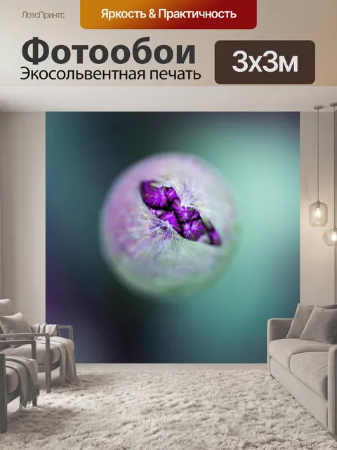 Фотообои Лук
