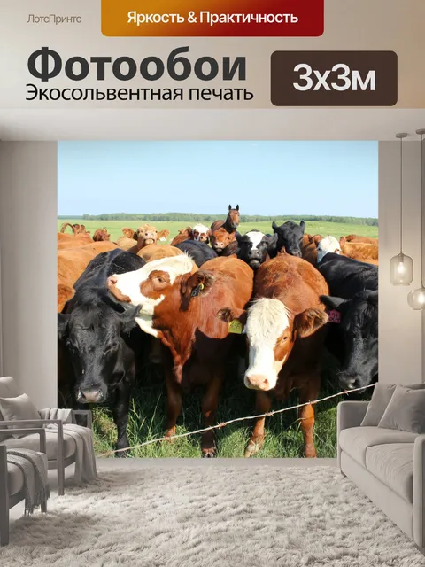 Фотообои Стадо коров и лошадей пастбищ