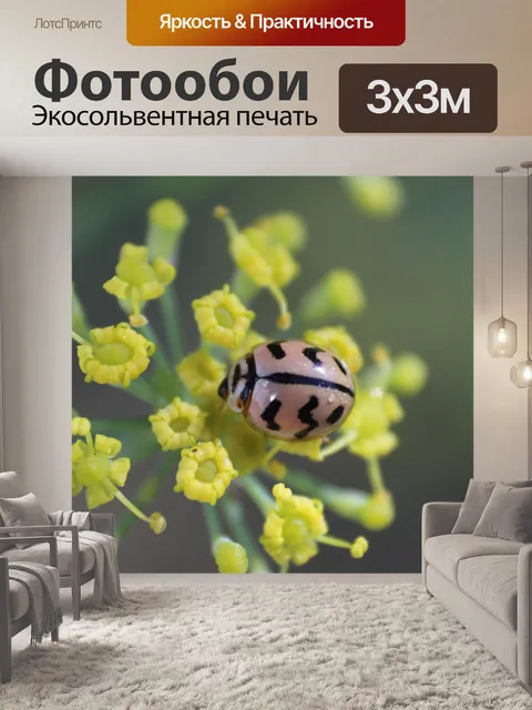 Фотообои Леди ошибка