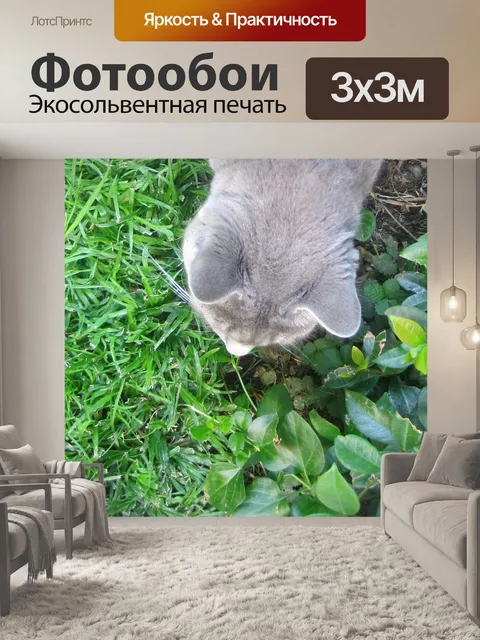 Фотообои серый кот на зеленой траве