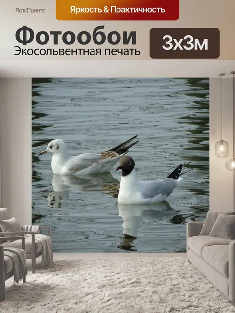 Фотообои Чайка