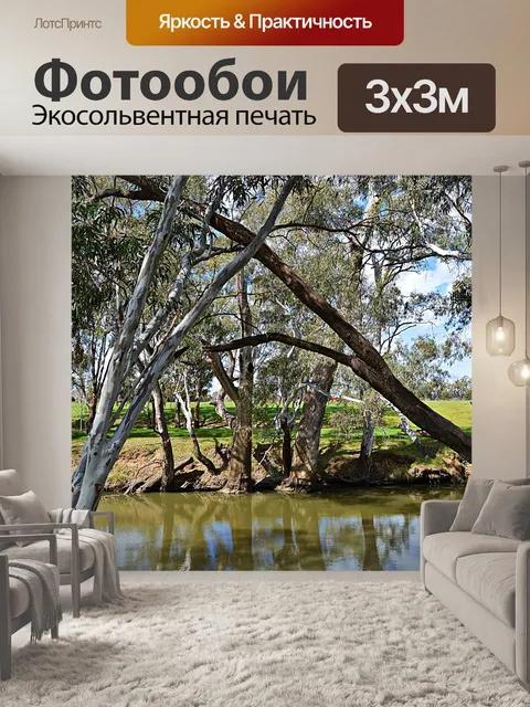 Фотообои Австралийский кустарник сельский сен