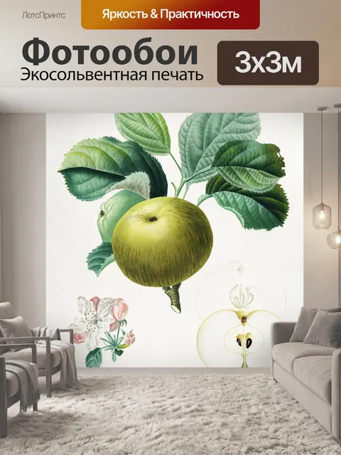Фотообои Яблочный фрукт винтажное искусство