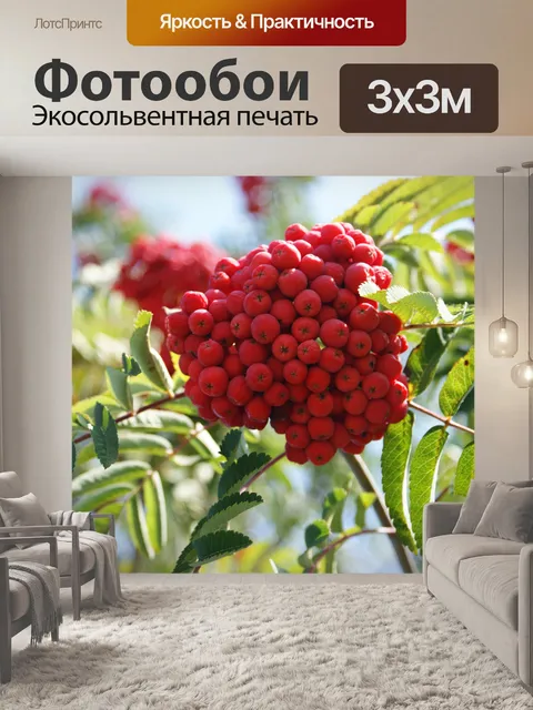 Фотообои Ягоды рябины