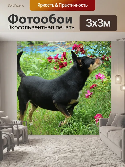 Фотообои Остановка и запах
