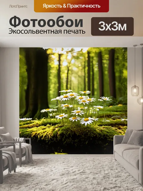 Фотообои описание: группа ромашек