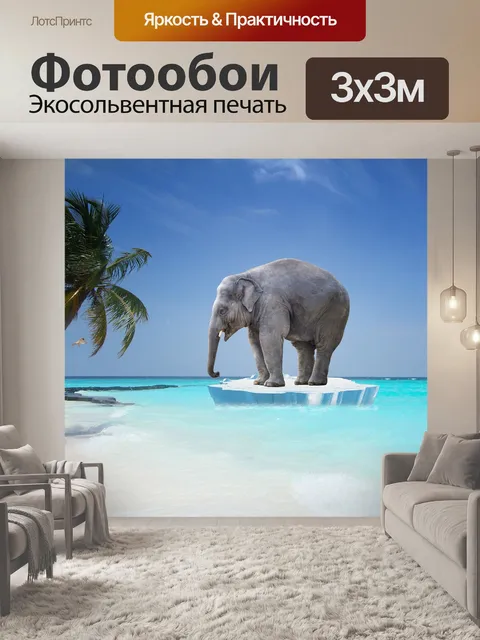 Фотообои Слон
