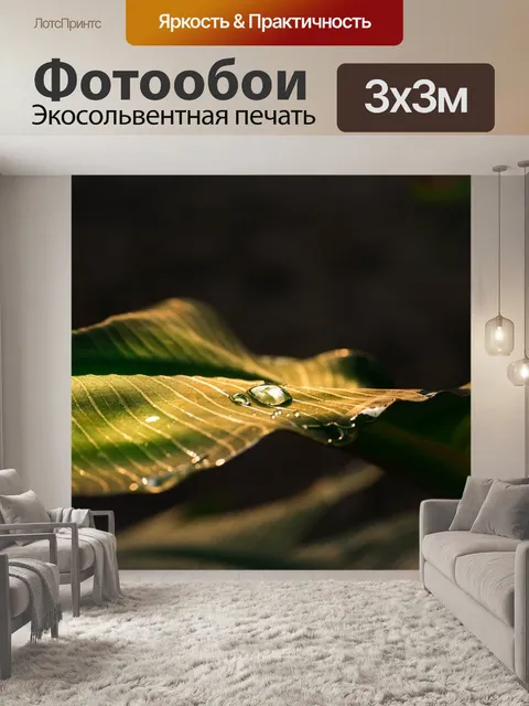 Фотообои Капля воды