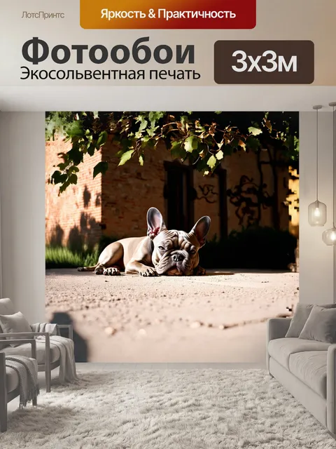 Фотообои на фоне старинного кирпичного здания французский бульдог мирно спит, свернувшись калачиком на солнце