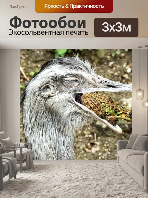 Фотообои Страус
