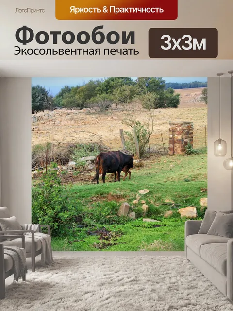 Фотообои стельная корова