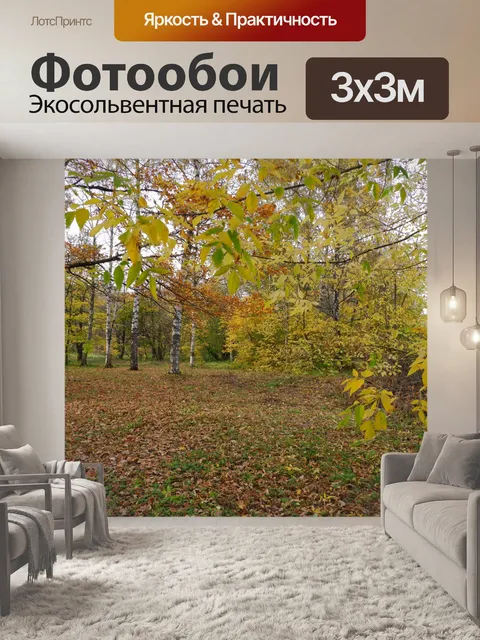 Фотообои лес,парк, осень,