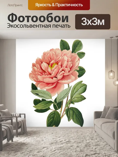 Фотообои Клипарт Винтажный цветочный пион
