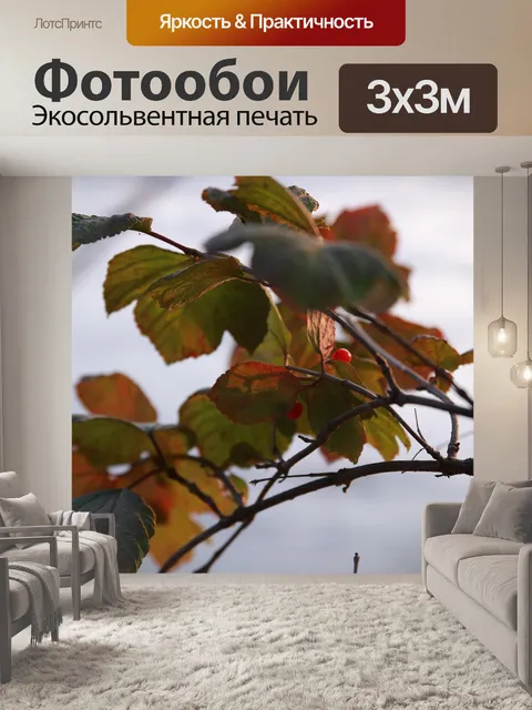 Фотообои Красные ягоды
