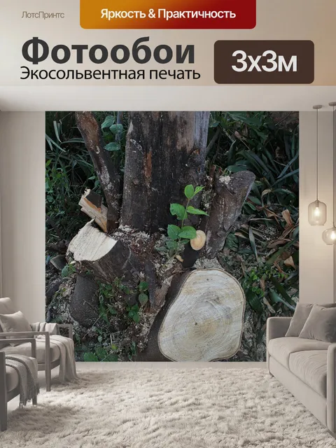 Фотообои срубленного дерева