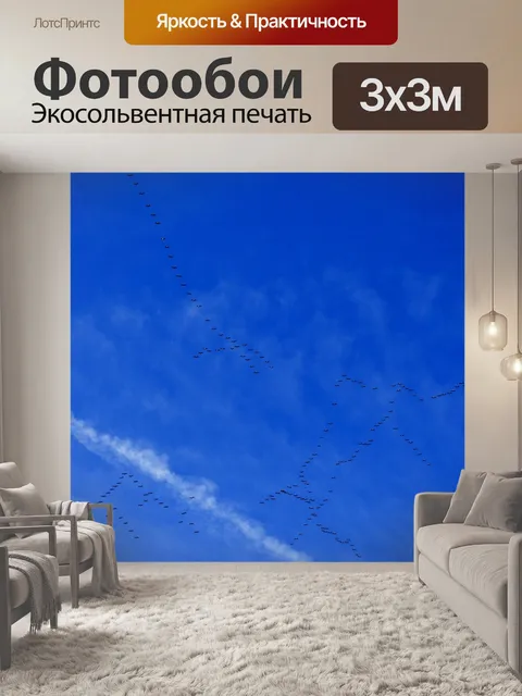 Фотообои Миграция птиц