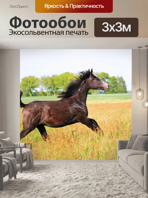 Фотообои Лошадь