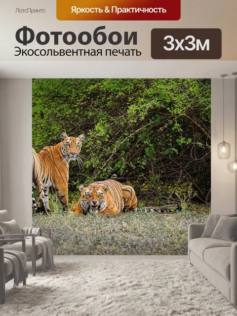 Фотообои Тигры