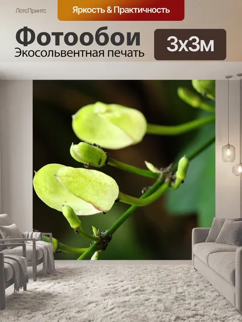 Фотообои муравьи в бутонах