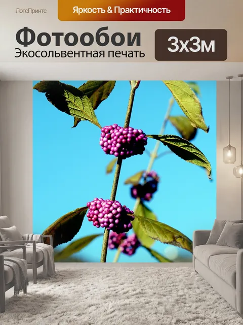 Фотообои Цветок