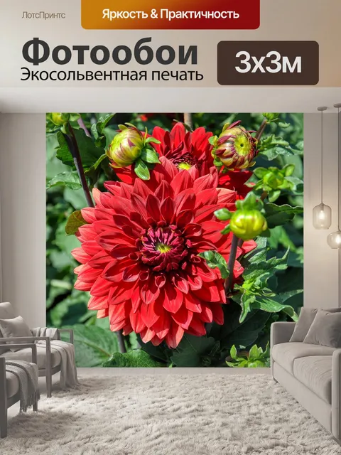 Фотообои Георгины