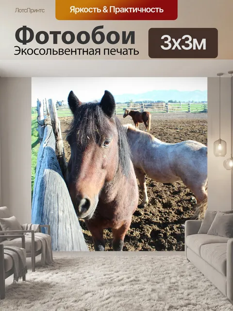 Фотообои Лошадь