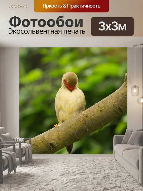 Фотообои Сад бабочек бенальмадена