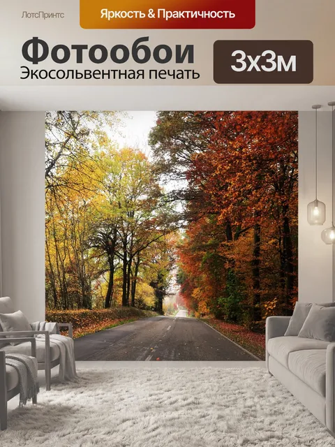 Фотообои Дорога