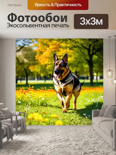 Фотообои старая немецкая овчарка, гуляющая по солнечному парку, окружена яркими цветами и зелеными деревьями