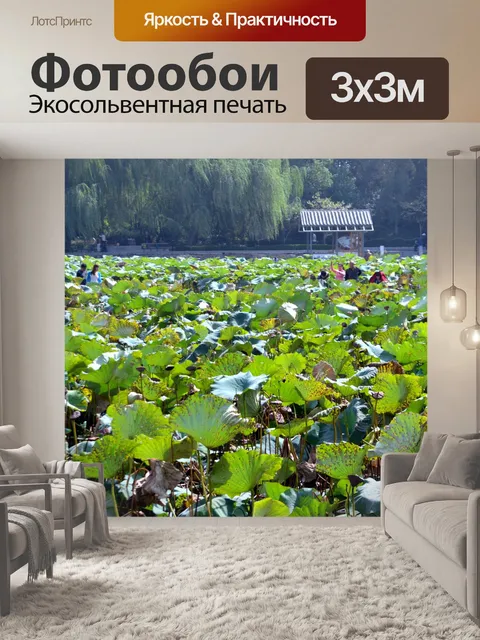 Фотообои Цветок лотоса пруд