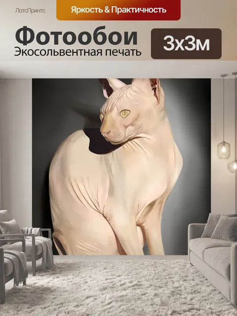 Фотообои Кошка