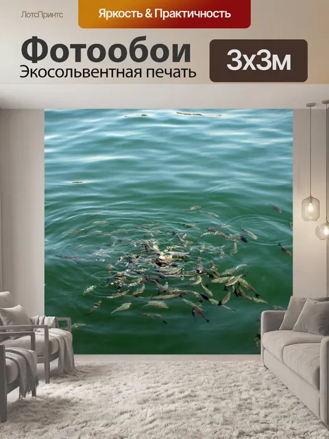 Фотообои Рыбы