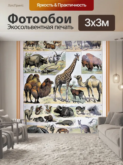 Фотообои Млекопитающие от Адольфа Милло - A