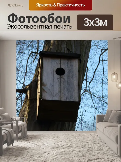 Фотообои Птичий домик