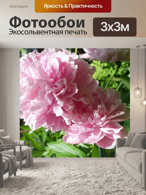 Фотообои Пион