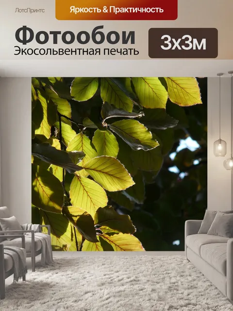 Фотообои Кровавый бук