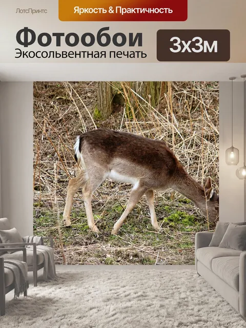 Фотообои Олень