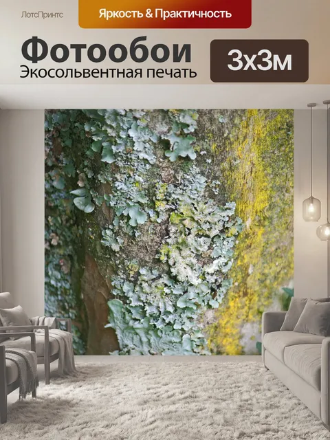 Фотообои светло-зеленый и желтый лишайник