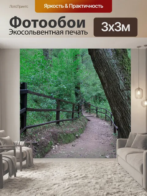Фотообои Лес