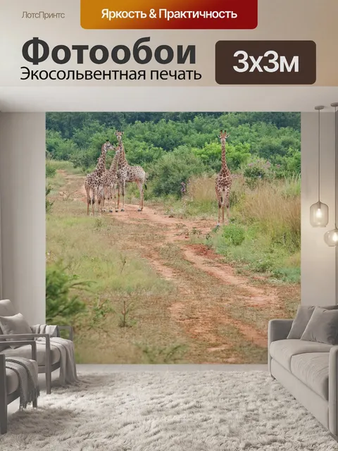 Фотообои группа жирафов на грунтовой дороге