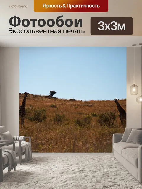 Фотообои Жирафы стоят на лугу