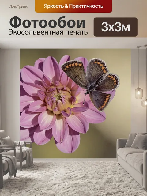 Фотообои Цветок
