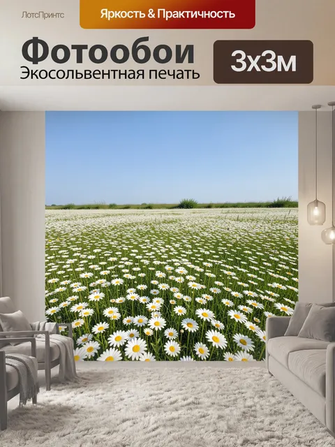 Фотообои Поле ромашек под голубым небом