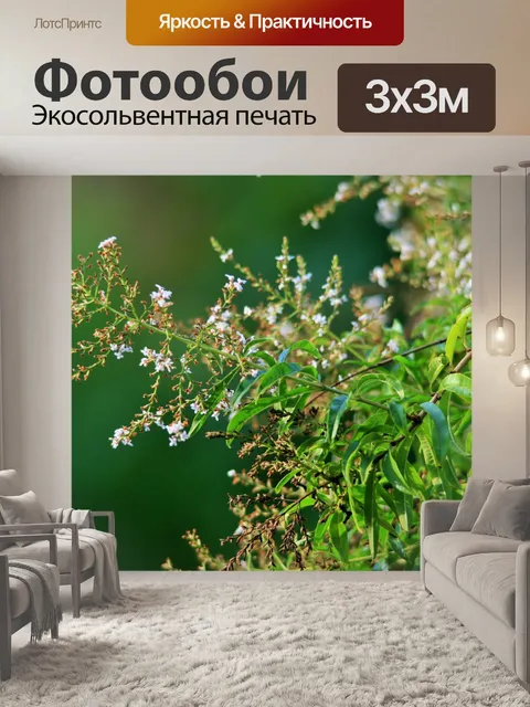 Фотообои ароматный вербена лимонная