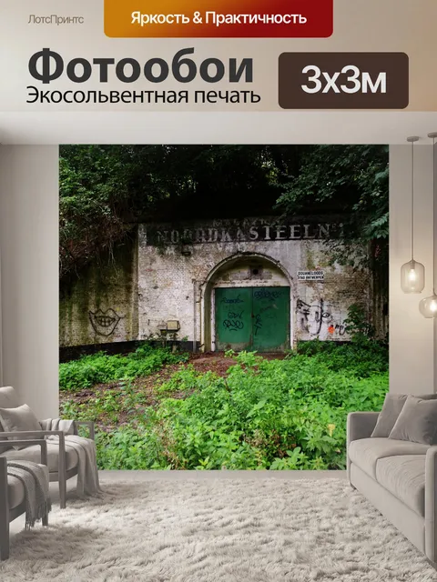 Фотообои Заброшенный приют