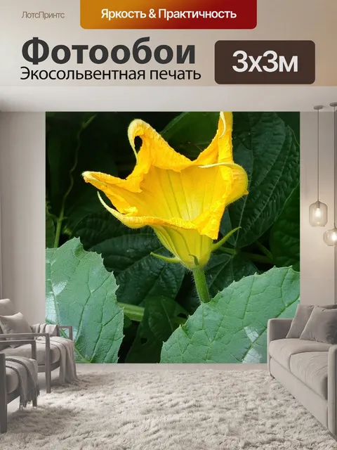 Фотообои Цветок
