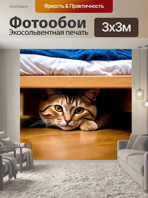 Фотообои кот, укрывающийся под кроватью от грома