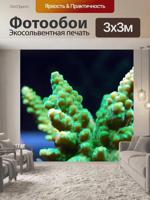 Фотообои Коралл