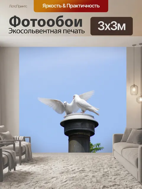 Фотообои Белые голуби